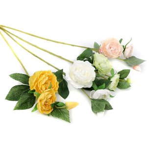 Растения одиночные