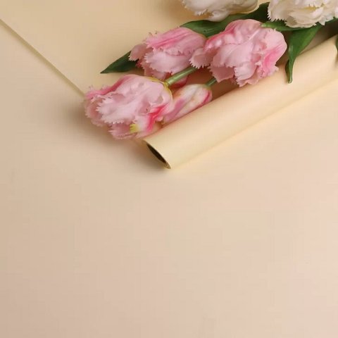 Пленка матовая 40мкм 58см х 10м Воздух шампань