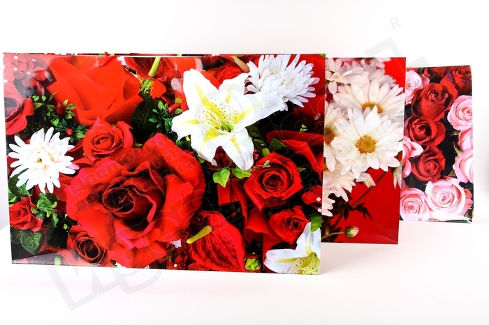 Сумочка ламинированная (62 × 42 × 14 см) горизонтальная