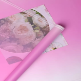 Пленка матовая 50мкм 58см х 10м прозрачный кант лиловый