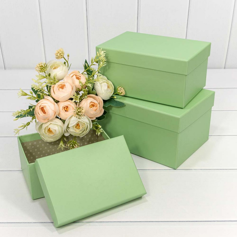 Коробки Прямоугольные Набор 1/3 22*15*11,5 Бледно-зелёный
