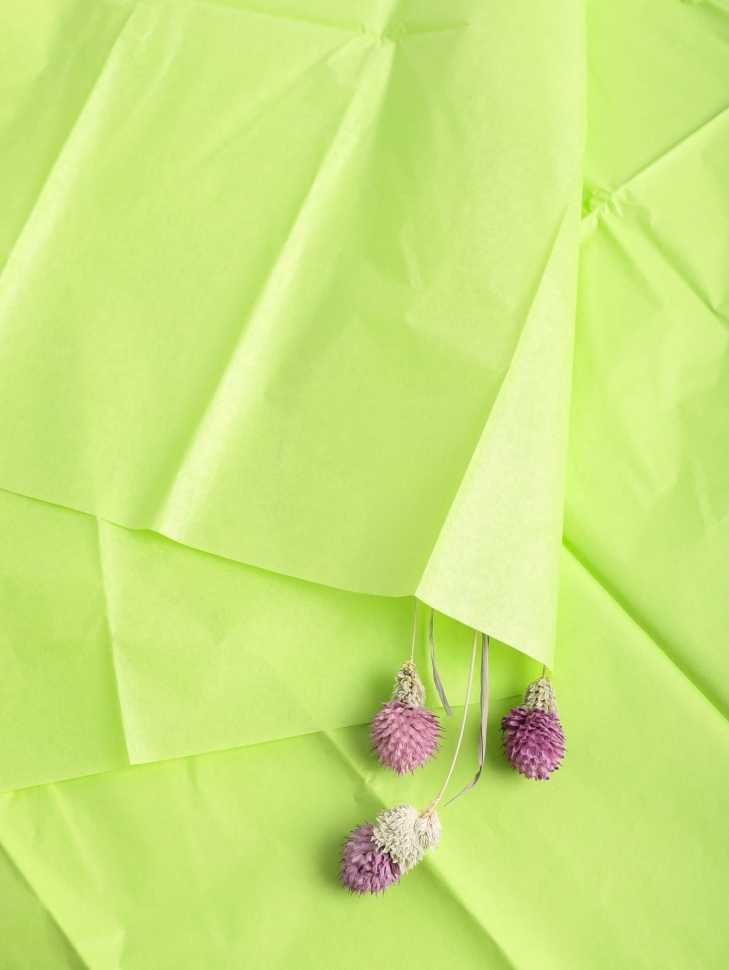 Бумага тишью 50*66 см 10 шт лайм