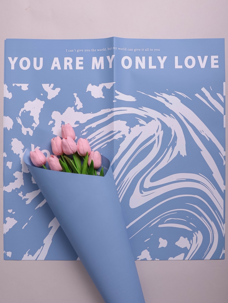 Пленка матовая 58 см × 58 см 60 мкм РЦ 10 листов Only love рисунок белый на голубом