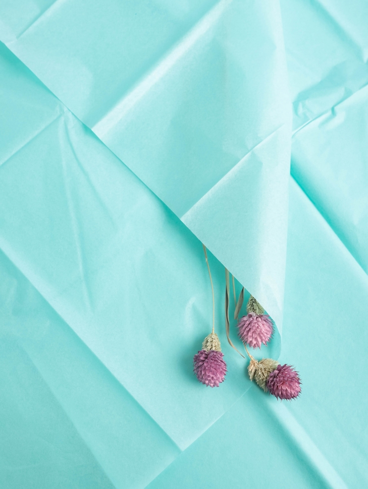 Бумага Тишью 50 × 66, мятный, 10 лист