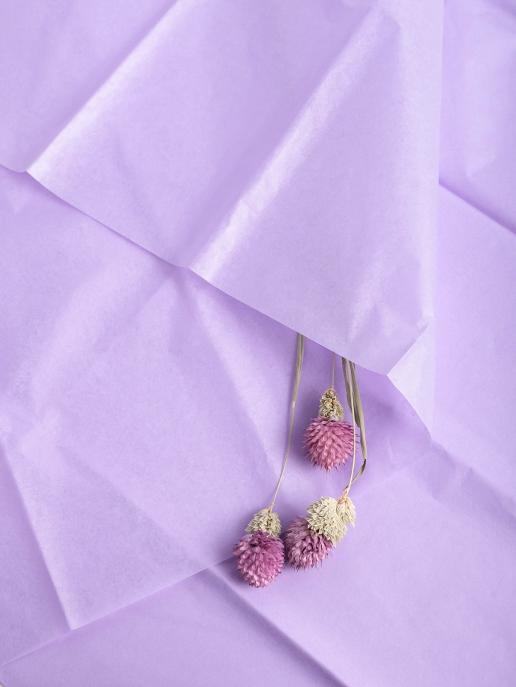 Бумага в листах "Тишью" 50*66 (10 шт.) Сиреневый