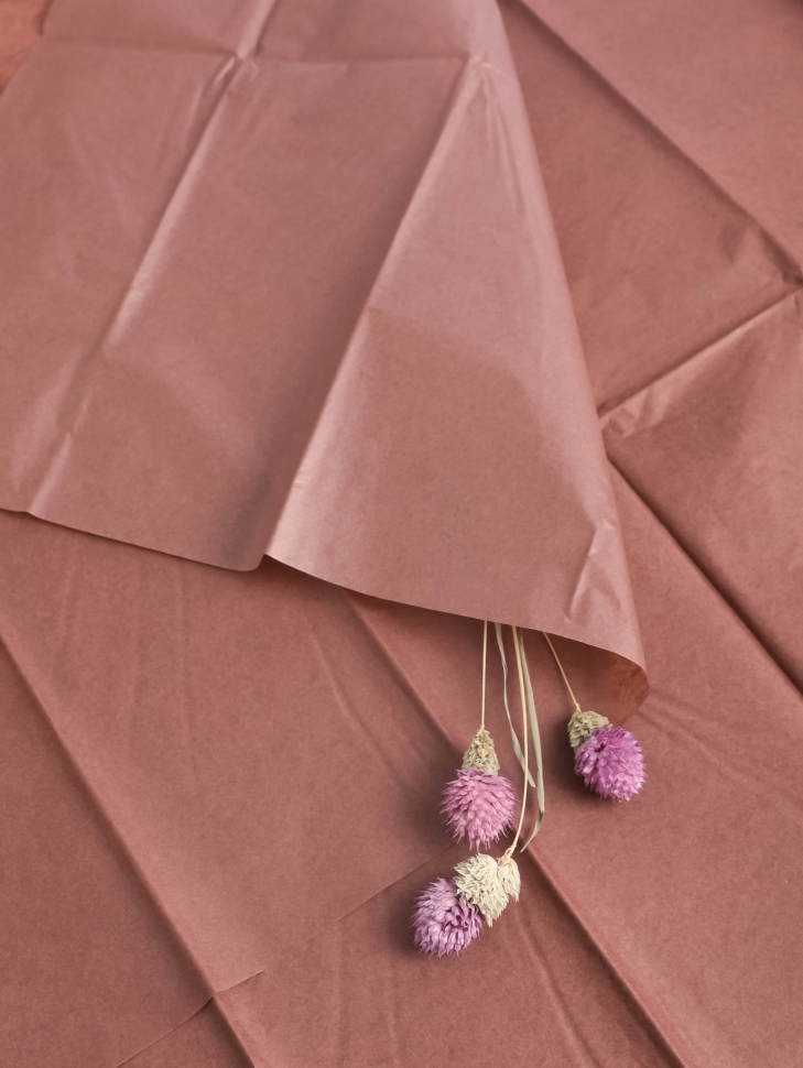 Бумага тишью 50*66 см 10 шт шоколадный