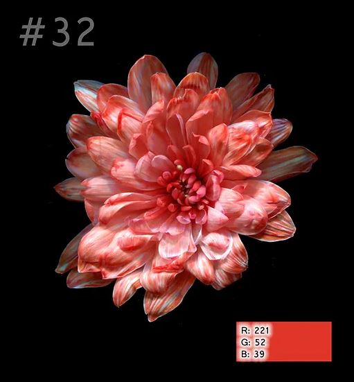 Краска для окрашивания живых цветов, цвет коралловый, #32, 0,300 л