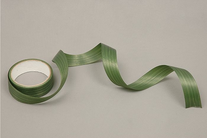 Лента Аспидистр 3 см*10 м