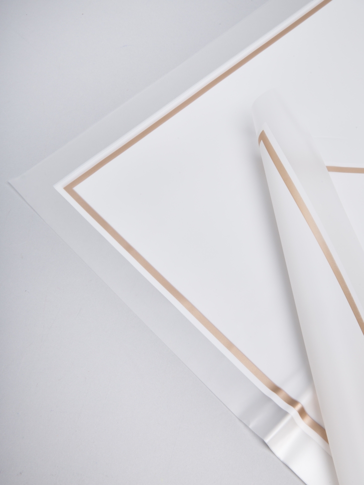 Пленка матовая 58 см × 58 см 10 лист 50 мкм РЦ кант 50 белый